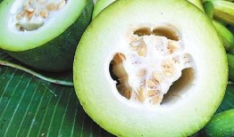 郓城免费吃瓜,免费吃瓜盛宴来袭，共享清凉夏日时光